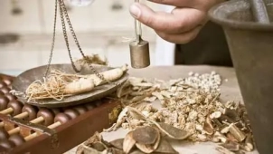 Formation en MTC - Année 4 - Promo E-Lièvre