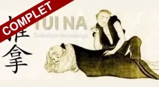 Stage Tui Na – Massage traditionnel chinois – Niveau 1
